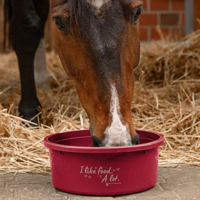 Feed Bowl with Lid XL 8L Red