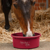Feed Bowl with Lid XL 8L Red Feed Bowl with Lid XL 8L Red