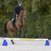 Cavaletti Block Three Heights Blue Cavaletti Block Three Heights Blue