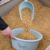 Feed Scoop 0,5L Blue Feed Scoop 0,5L Blue
