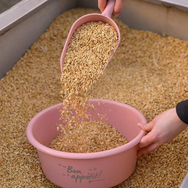 Feed Scoop 0,5L Pink