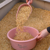 Feed Scoop 0,5L Pink Feed Scoop 0,5L Pink