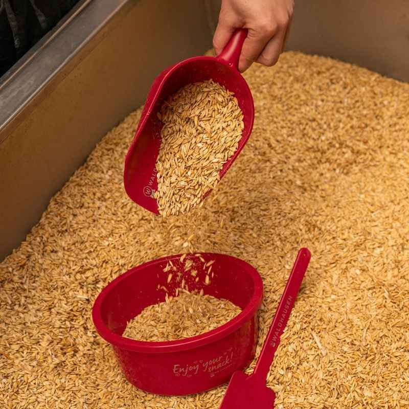 Feed Scoop 0,5L Red