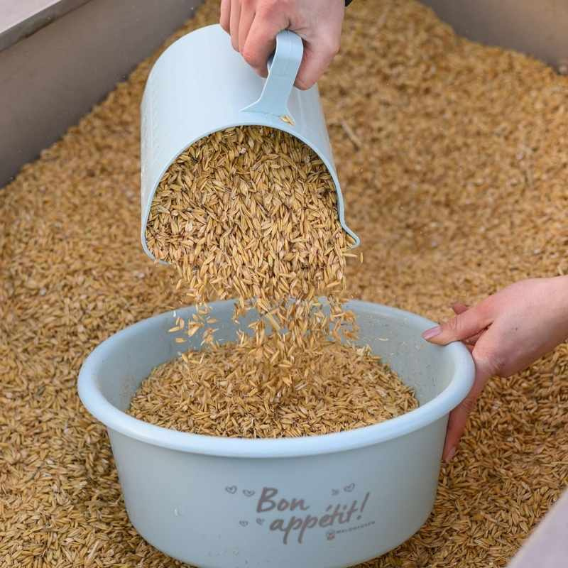 Feed Scoop 2L Blue