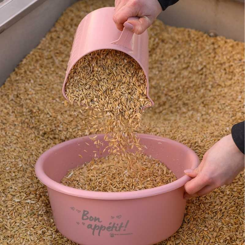 Feed Scoop 2L Pink
