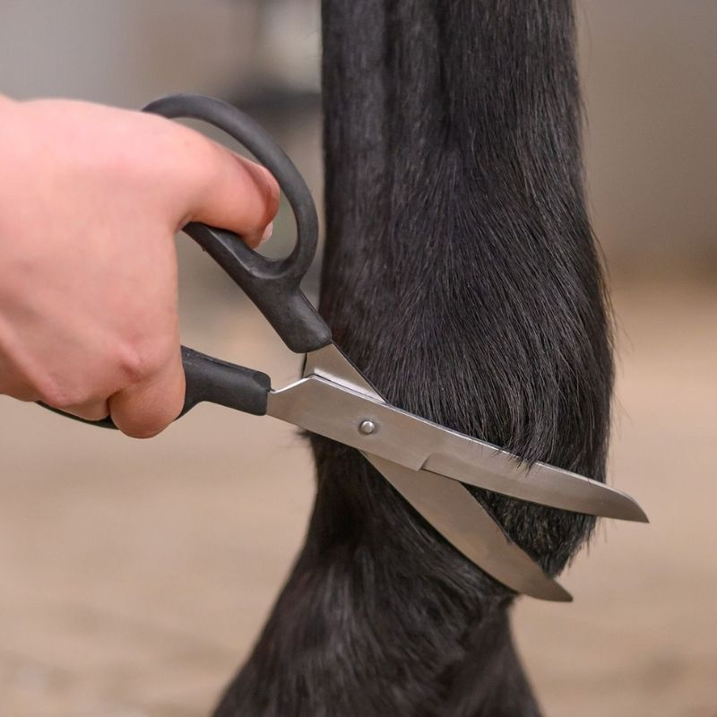 Scissors Fetlock Shears Bend Black