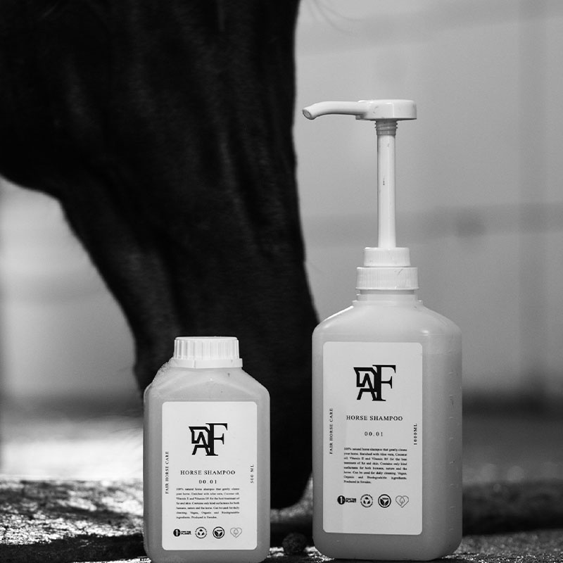 Shampoo Everyday Original 00.01