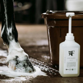 Shampoo Everyday Original 00.01 Shampoo Everyday Original 00.01