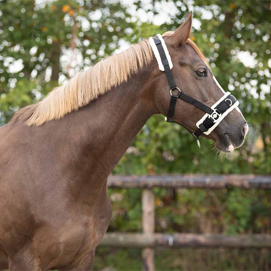 Cavesson Fauxfur Black