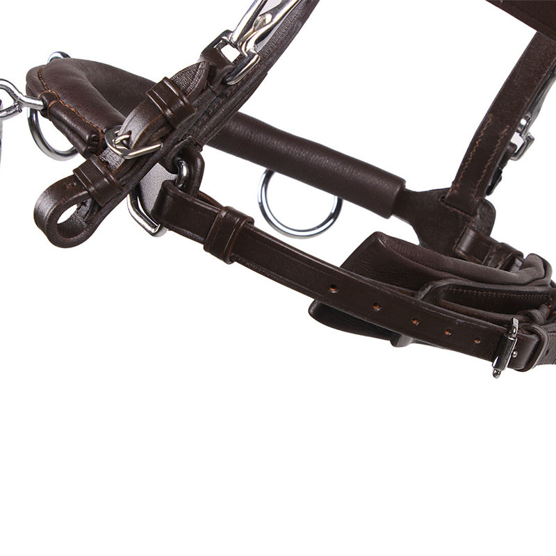 Caveson  Leather Brown