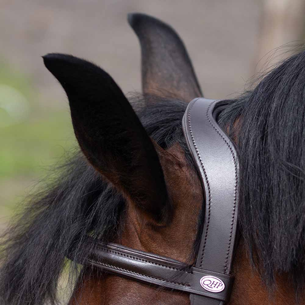 Caveson  Leather Brown