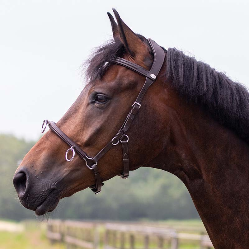 Caveson  Leather Brown