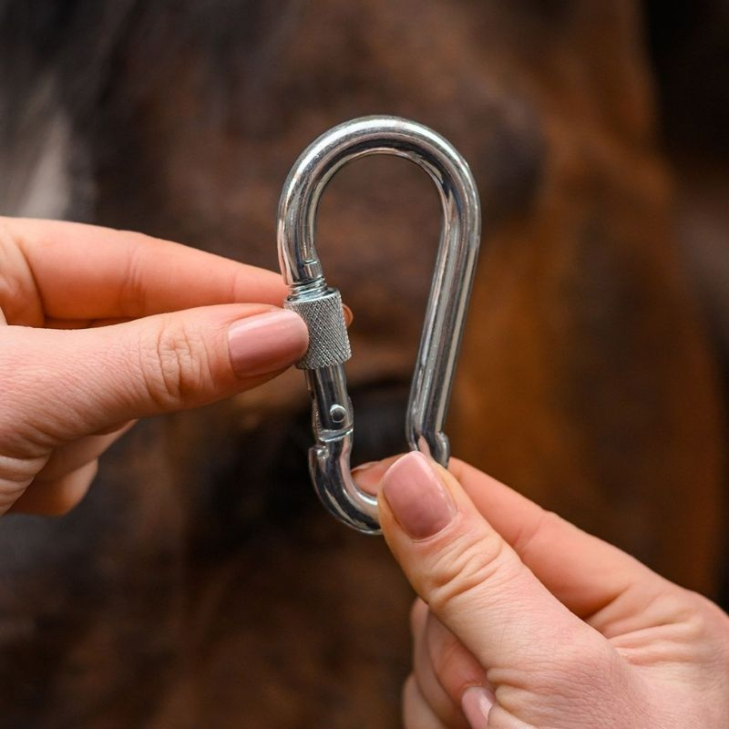 Safety Carabiner Screw Cap Silver