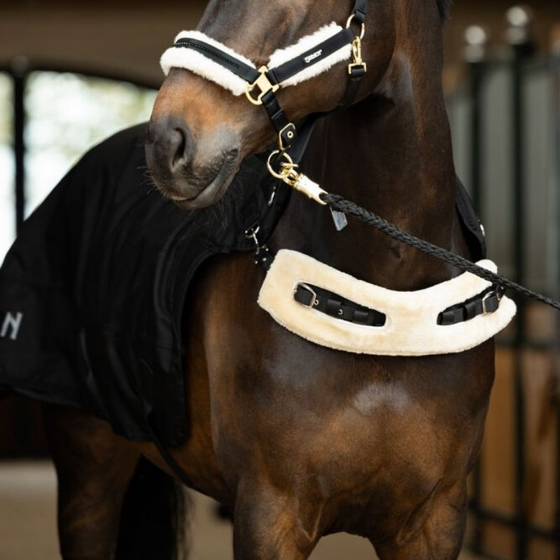 Walking Rug Delta II Walker Black