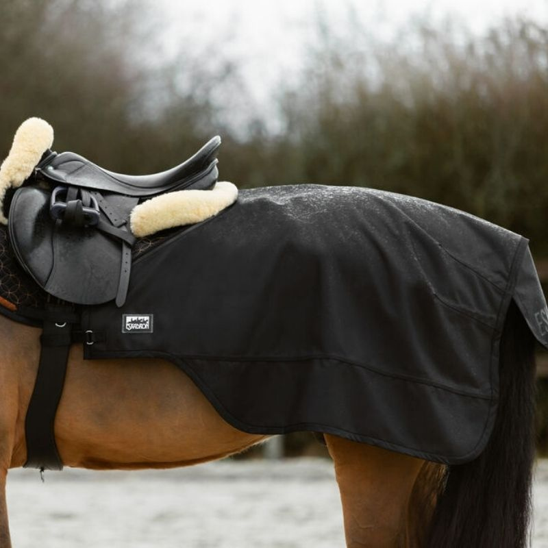 Riding & Lunging Rug Exercise Sheet Black