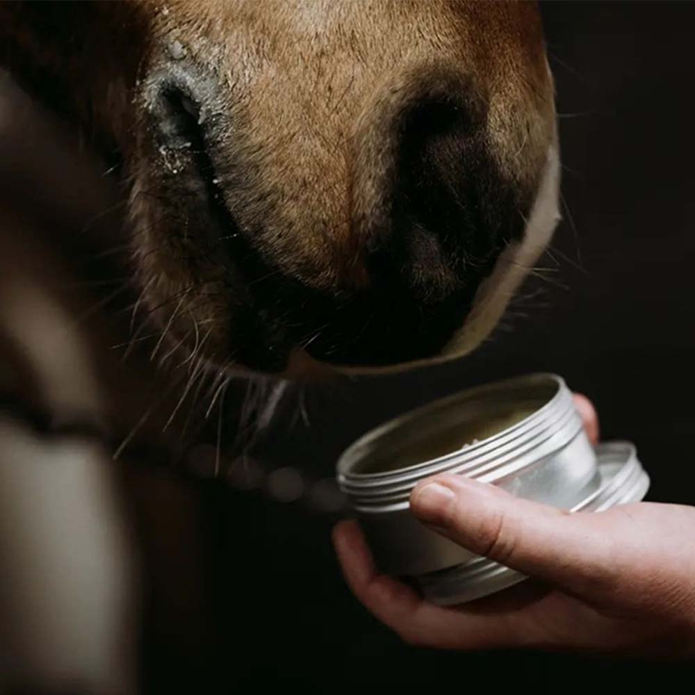 Horse Salve Survival Balm 00.02