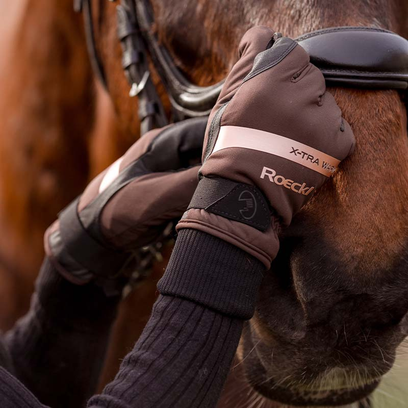 Winter Riding Gloves Wynne Mocha