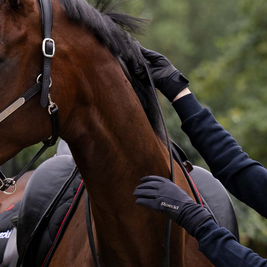 Winter Riding Gloves Winsford Black