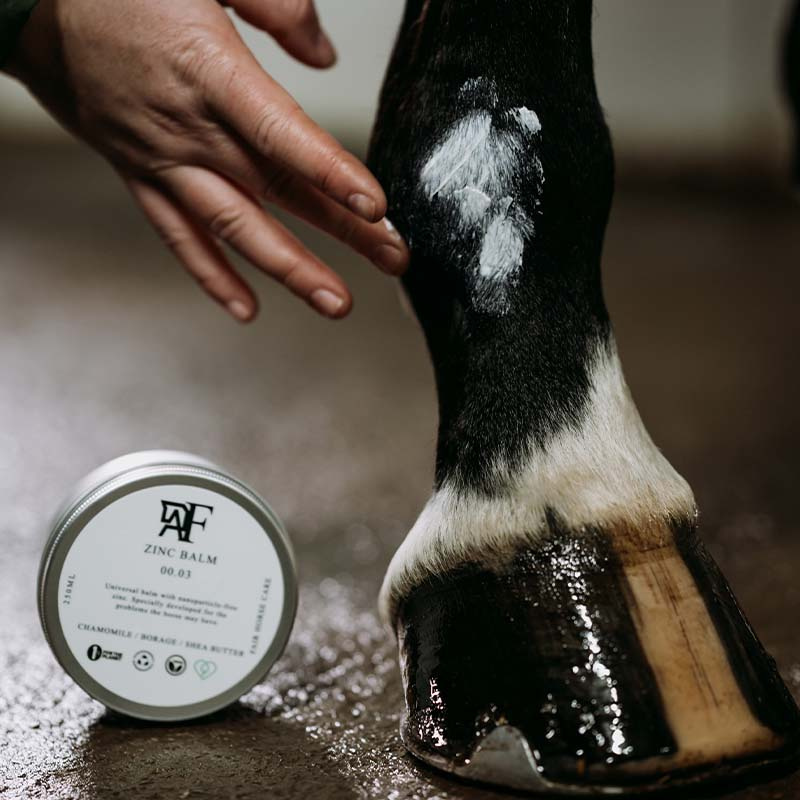 Horse Salve Zinc Balm 00.03