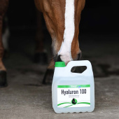 Hyaluronic Acid 100 Hyaluronic Acid 100