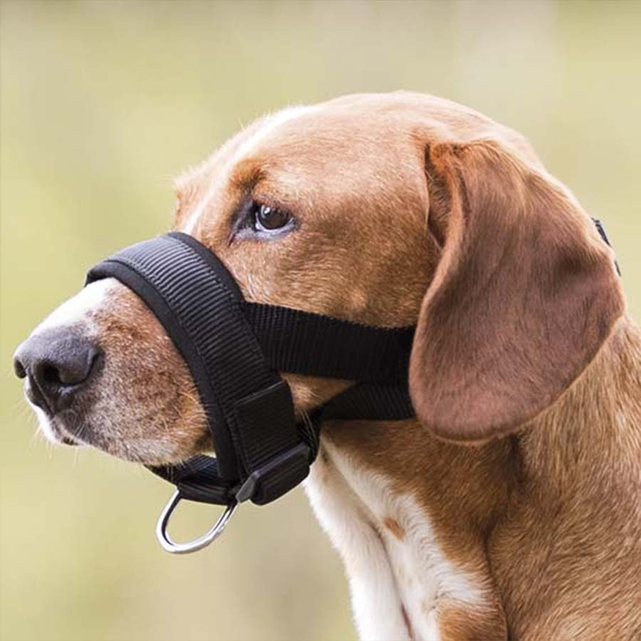 Noseband with Padding Black