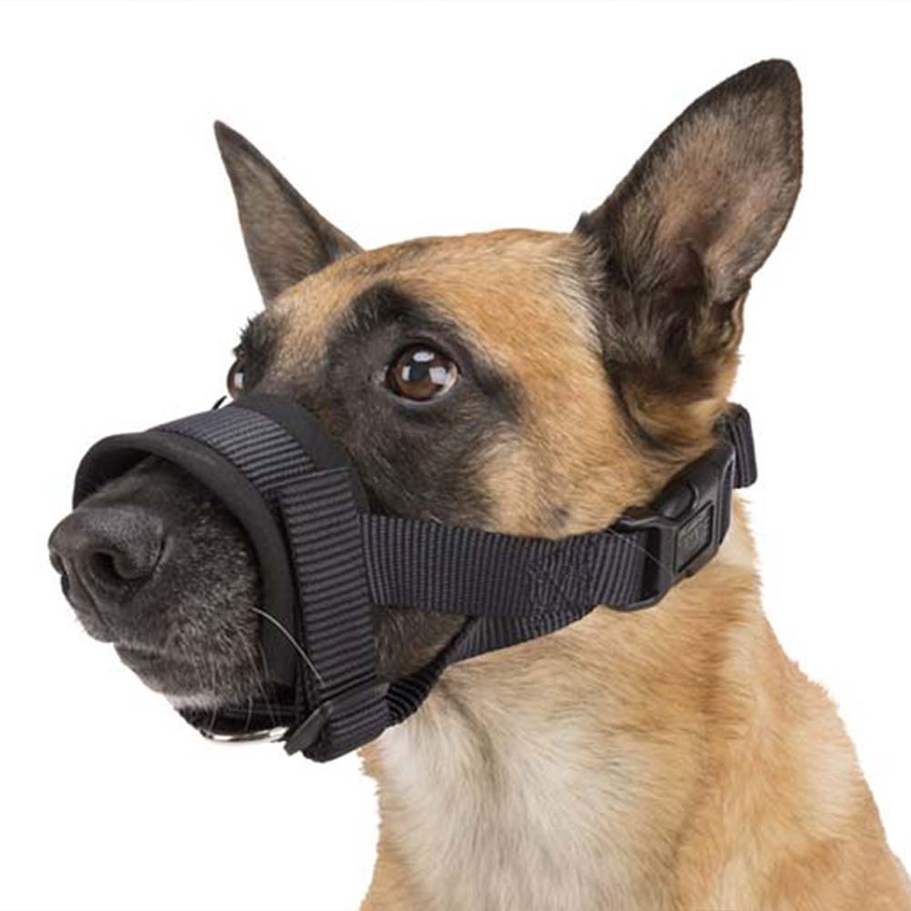 Noseband with Padding Black