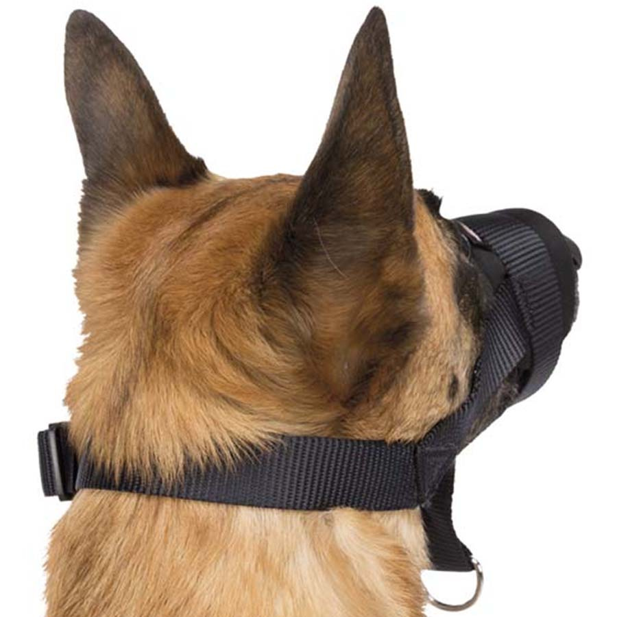 Noseband with Padding Black