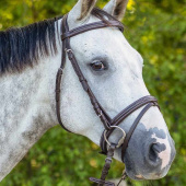 Anatomical Bridle Luxury Stitched Dark Brown Anatomical Bridle Luxury Stitched Dark Brown