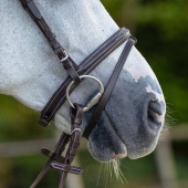 Anatomical Bridle Luxury Stitched Dark Brown Anatomical Bridle Luxury Stitched Dark Brown