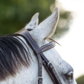 Anatomical Bridle Luxury Stitched Dark Brown Anatomical Bridle Luxury Stitched Dark Brown