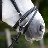 Anatomical Bridle Luxury Stitched Black Anatomical Bridle Luxury Stitched Black