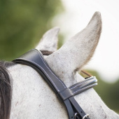 Anatomical Bridle Luxury Stitched Black Anatomical Bridle Luxury Stitched Black
