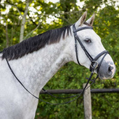 Anatomical Bridle Luxury Stitched Black Anatomical Bridle Luxury Stitched Black