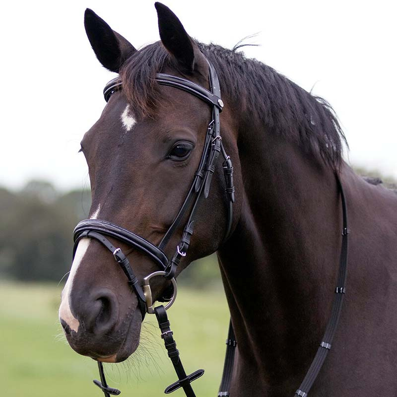 Anatomical Bridle Luxury Stitched Black