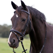 Anatomical Bridle Luxury Stitched Black Anatomical Bridle Luxury Stitched Black