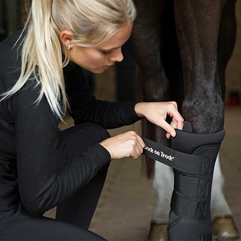Stable Boots Royal Quick Wraps Black