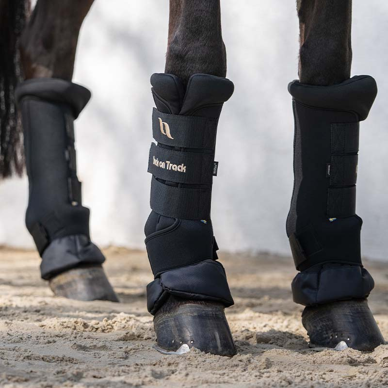 Stable Boots Royal Quick Wraps Deluxe Black/Black