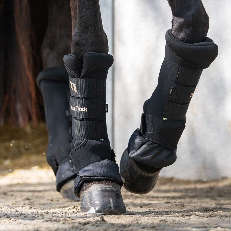 Stable Boots Royal Quick Wraps Deluxe Black/Black