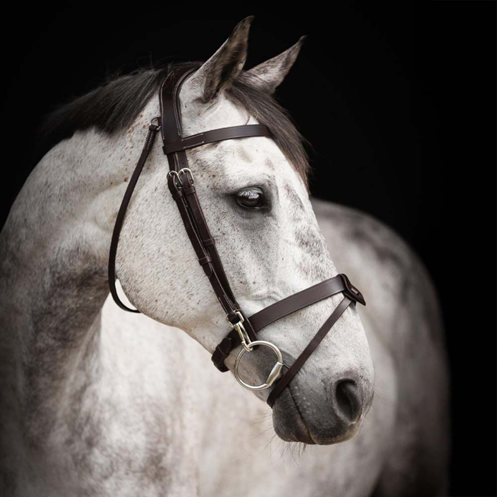 Bridle Trainer Basic Dark Brown