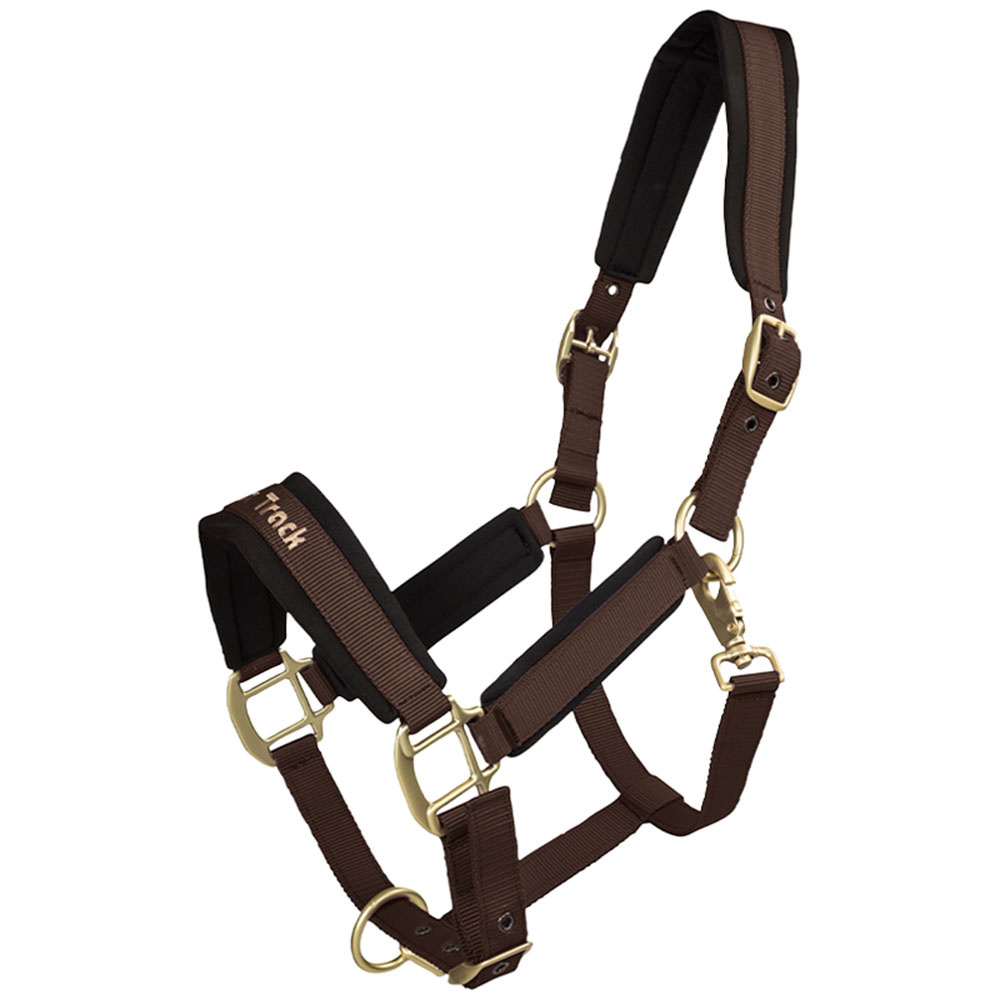 Halter Werano Brown