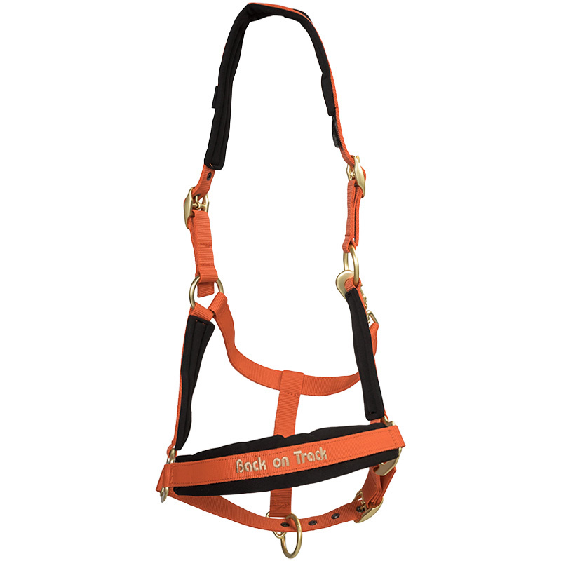 Halter Werano Orange