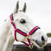 Halter Werano Pink Halter Werano Pink
