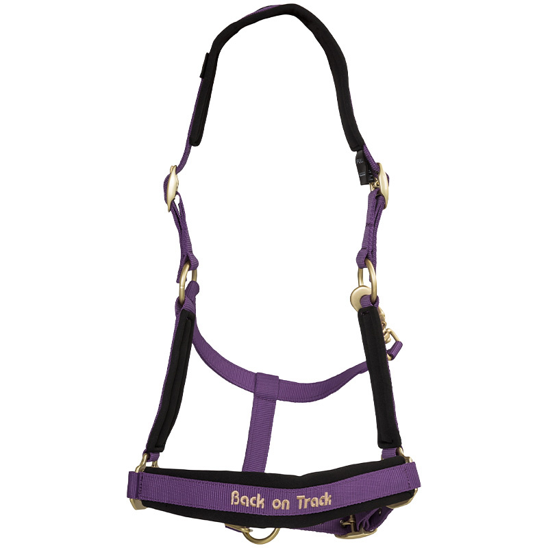 Halter Werano Purple