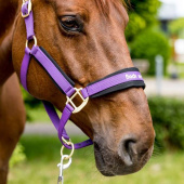 Halter Werano Purple Halter Werano Purple