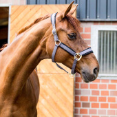 Halter Werano Grey Halter Werano Grey