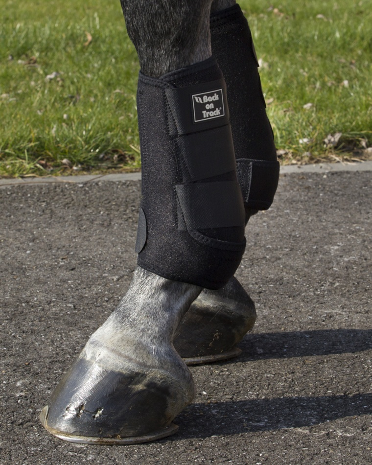 Brushing Boots Work Royal