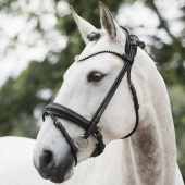 Dressage Bridle Caselle Supreme Black Dressage Bridle Caselle Supreme Black
