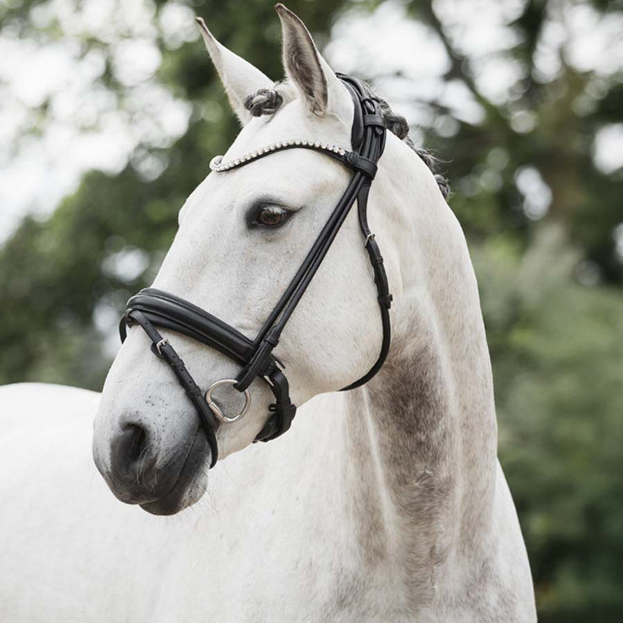Dressage Bridle Caselle Supreme Black