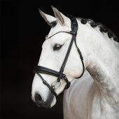 Dressage Bridle Caselle Supreme Black Dressage Bridle Caselle Supreme Black