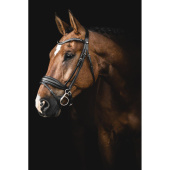 Dressage Bridle Integro Brown Dressage Bridle Integro Brown